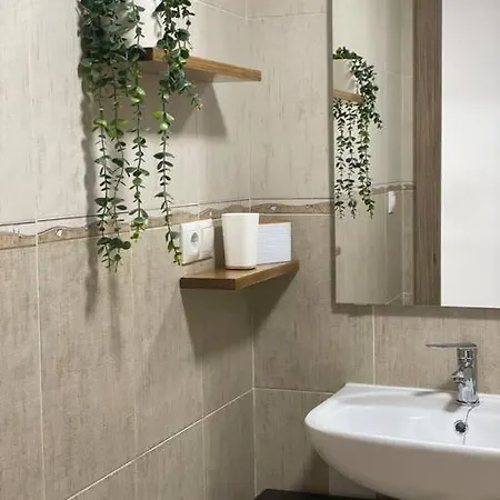 En Pleno Corazon De Apartmán Torrevieja